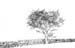 AFTER THE BLIZZARD by Shillington & District CC