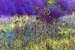 TEASELS IN BLOOM by Focus
