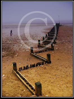 BEACH COMBER by New City PS