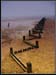 BEACH COMBER by New City PS