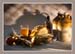 STILL-LIFE-by-Northampton-C