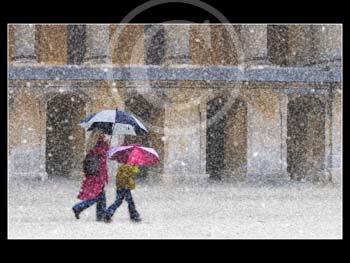 BLENHEIM SNOW by Oxford PS