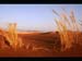 SAND DUNES by Focus