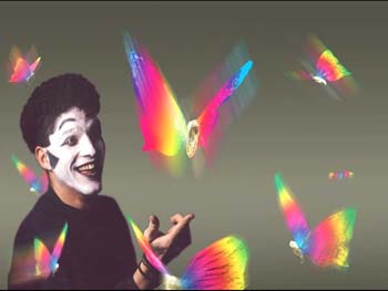 BUTTERFLYS