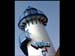 venice tower painting