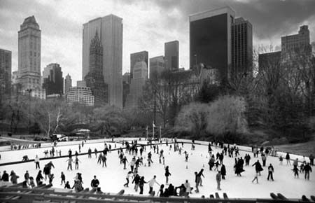 Skating in the Park