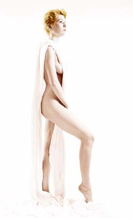 White Model
