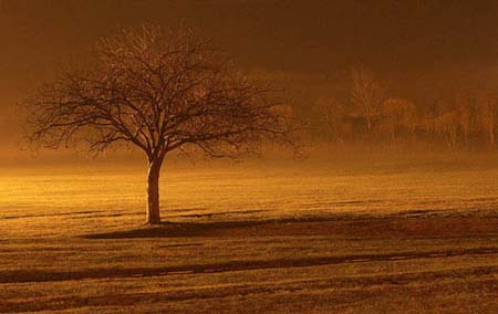 EveningGlow
