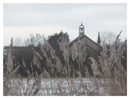 WinterScene