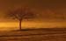 EveningGlow
