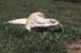 bosc monitor